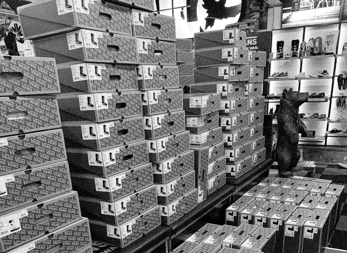 Vans Boots Boxes at Milosport