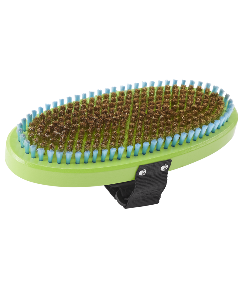 Dakine Premium Oval Brass Brush in Green 2025 - M I L O S P O R T