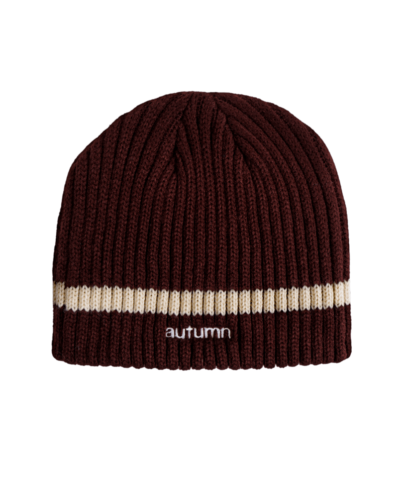 Autumn Stamnes Beanie in fall colors, unisex knit hat from Autumn, shown on a white background.