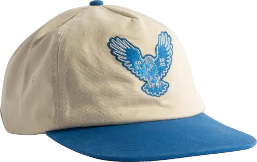 Coal The Hayes 5 Panel Hat