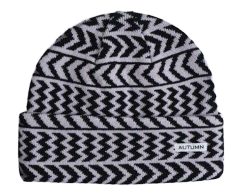 Autumn Chevron Beanie 2027