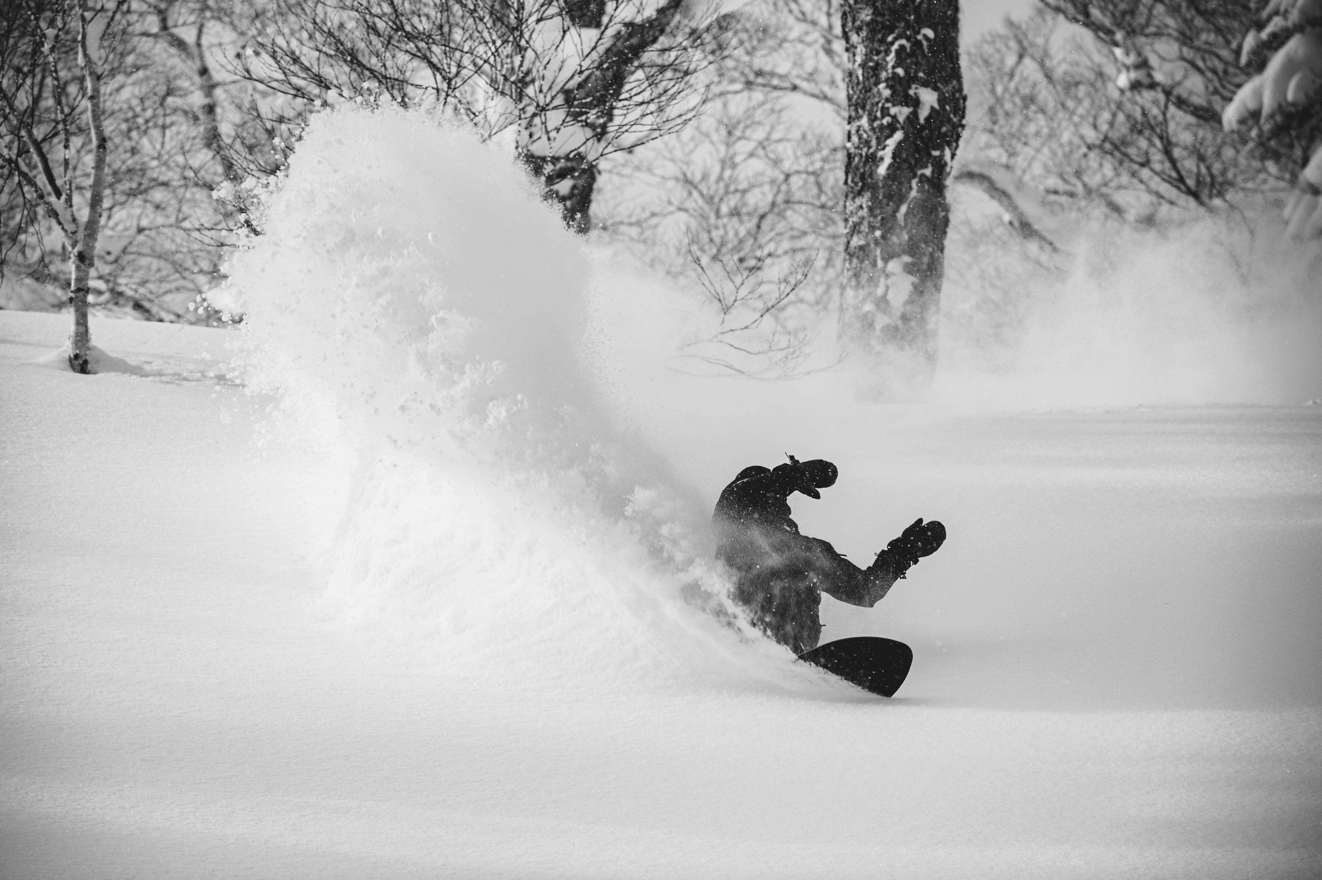 Korua Dart Plus Snowboard Milosport 2