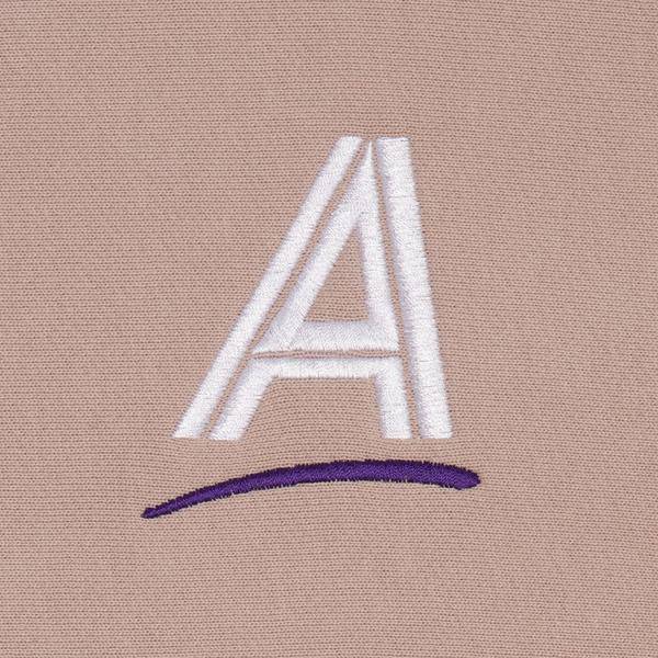 Alltimers Straight As Embroidered Crew in Dusty Pink - M I L O S P O R T