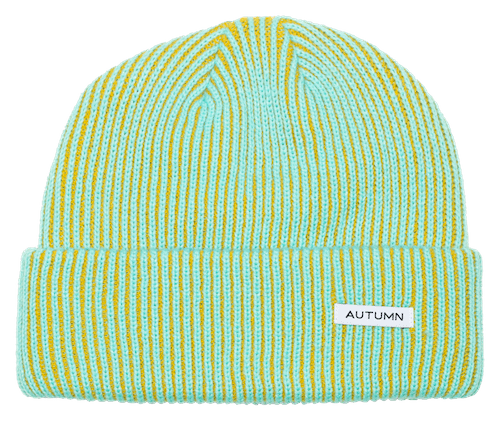 Autumn Cord Beanie In Mint - M I L O S P O R T