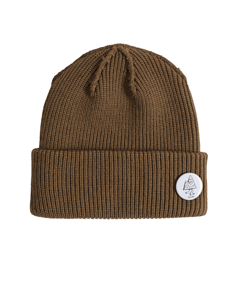 Autumn Diy Beanie 2027