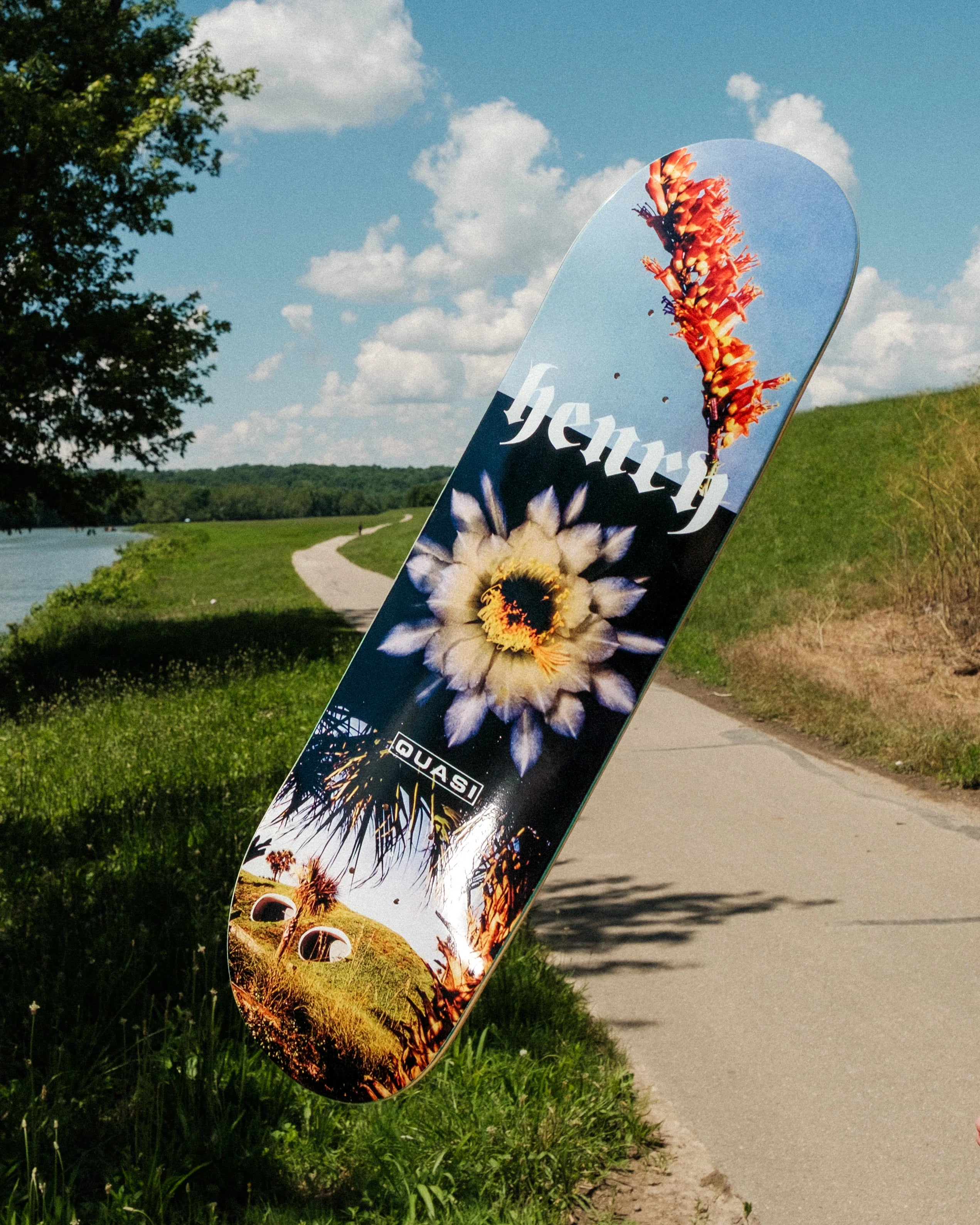 Quasi Henry Engel Skateboard Deck - 8.375"