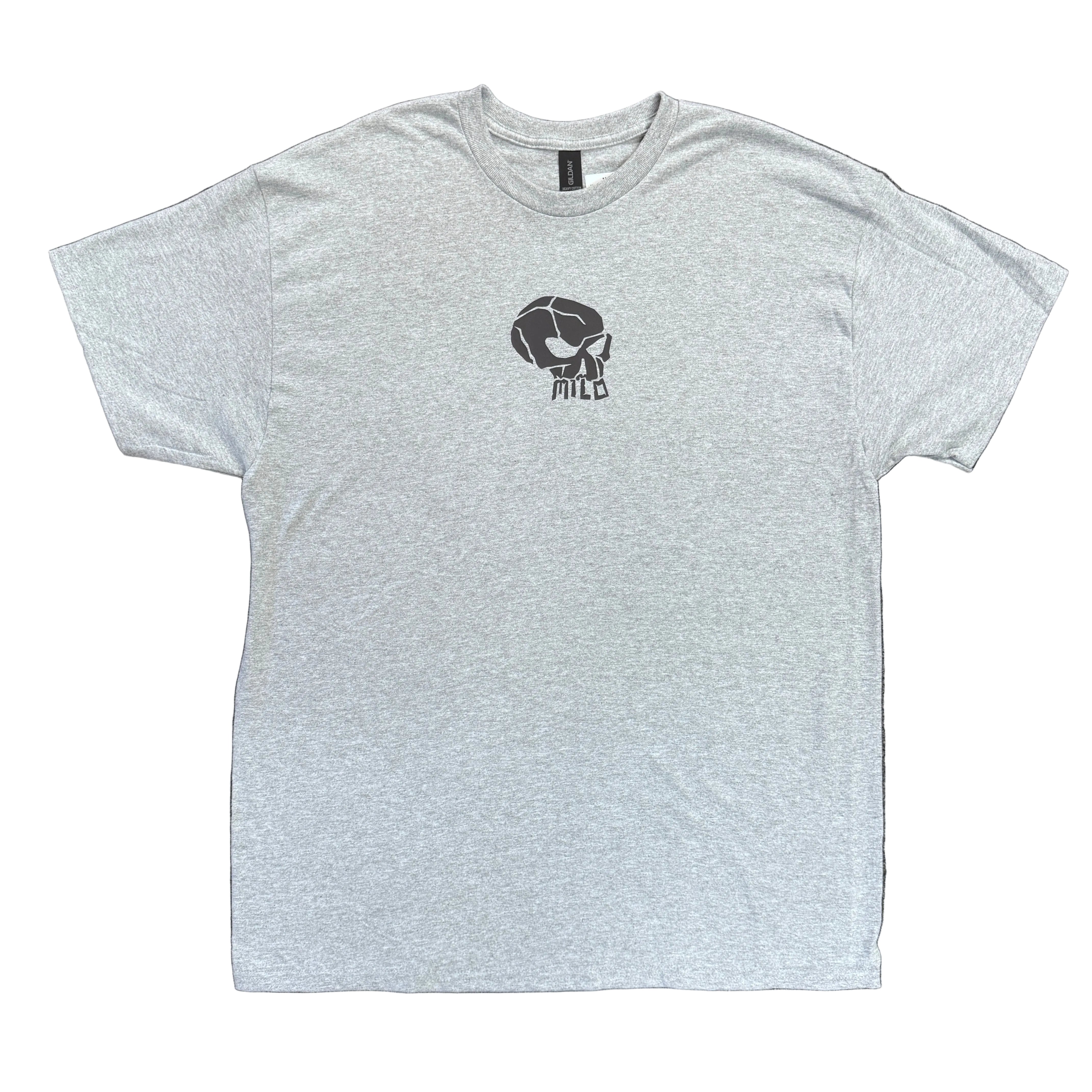 Milosport Mini Skull Tee Shirt in Grey