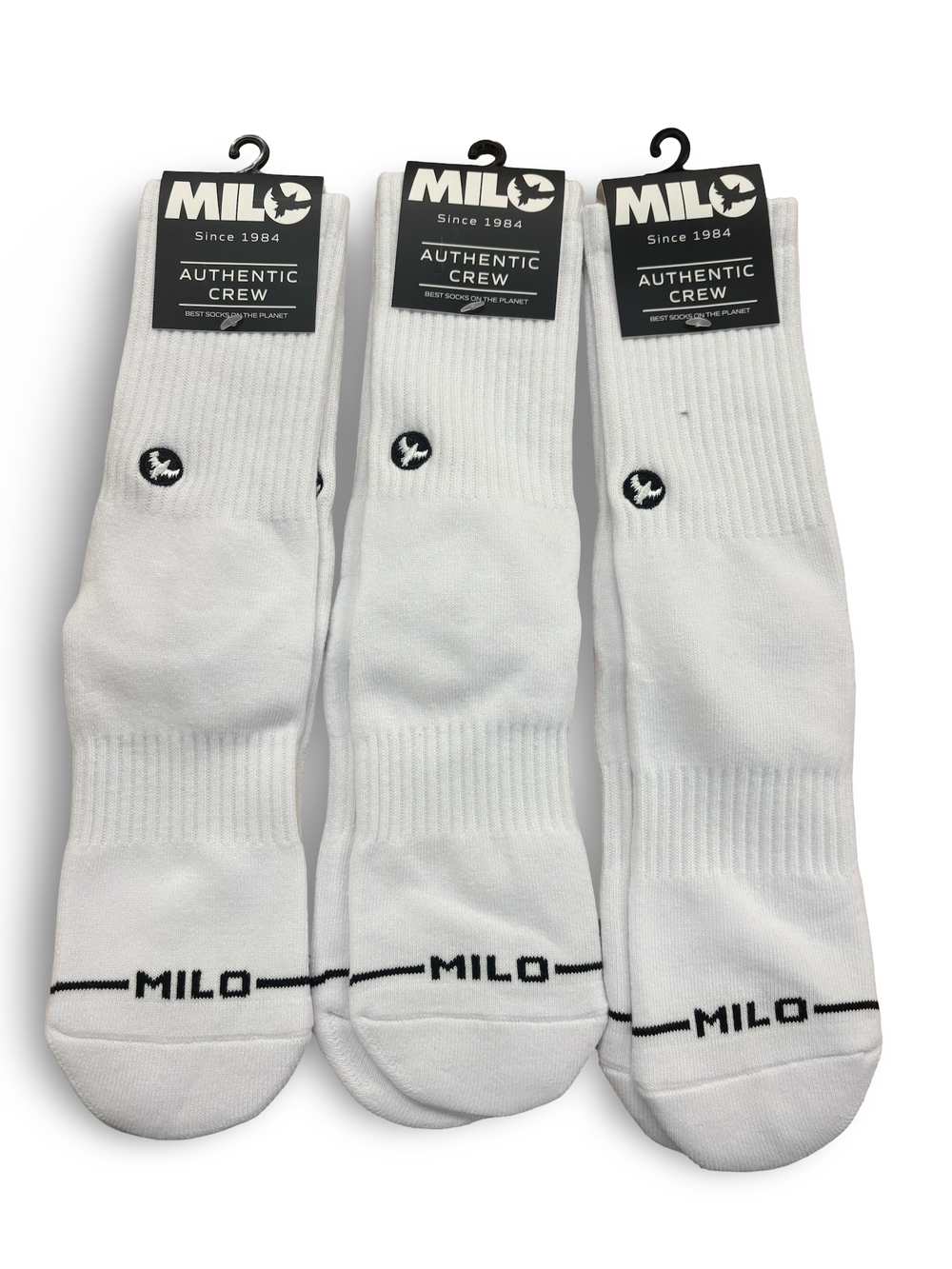 Milosport Snow & Skate