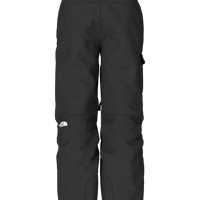 THE NORTH FACE Men's Freedom Insulated Pant, TNF Black 2,  X-Small Long : Clothing, Shoes & Jewelry