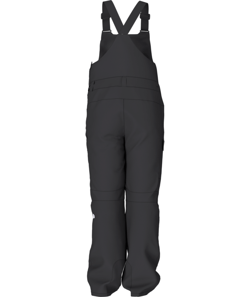 The North Face Mens Freedom Bib Snow Pant in TNF Black 2024 - M I L O S P O R T
