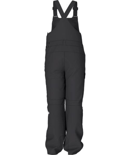 The North Face Womens Freedom Insulated Bib Snow Pant in TNF Black 2024 - M I L O S P O R T