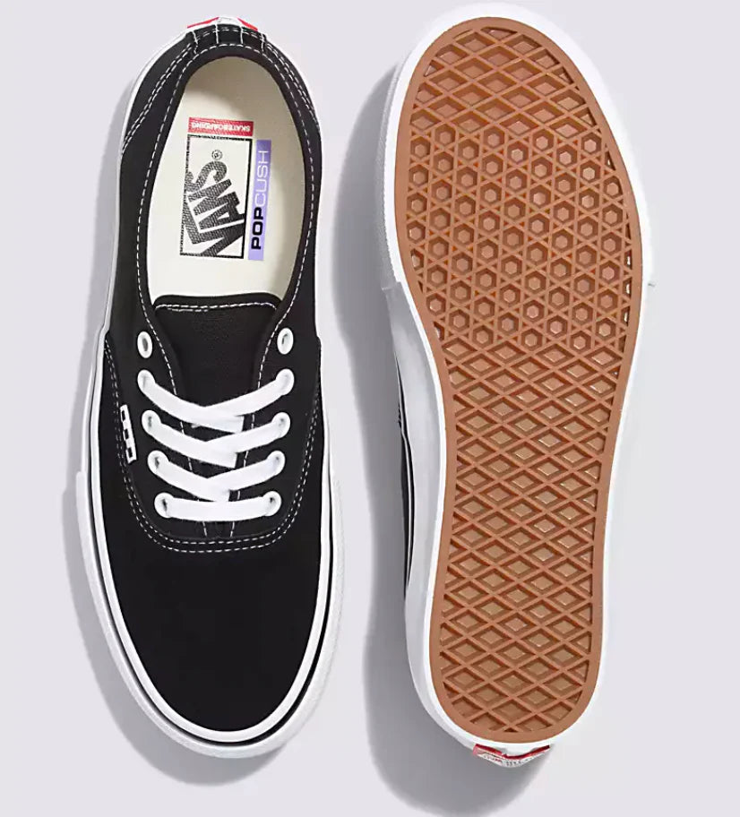Vans Skate Authentic in Black and White