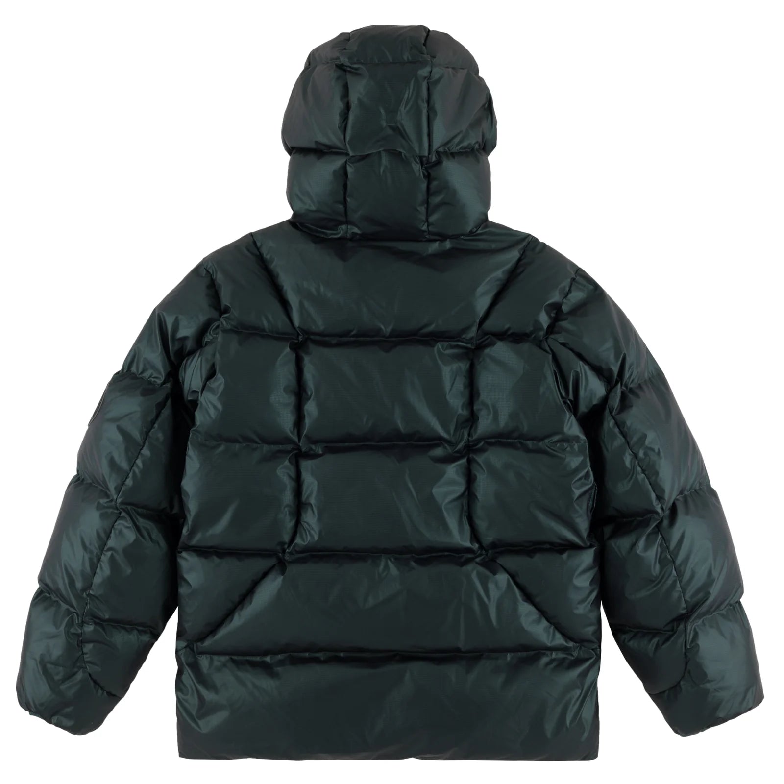 Souvenir Mountain Puffy 2026 backpack featuring a deep forest mountain landscape design, viewed from the back.