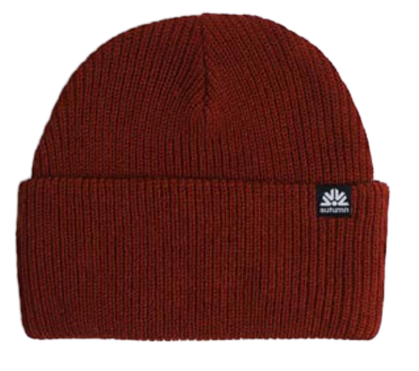 Autumn Simple Beanie 2027