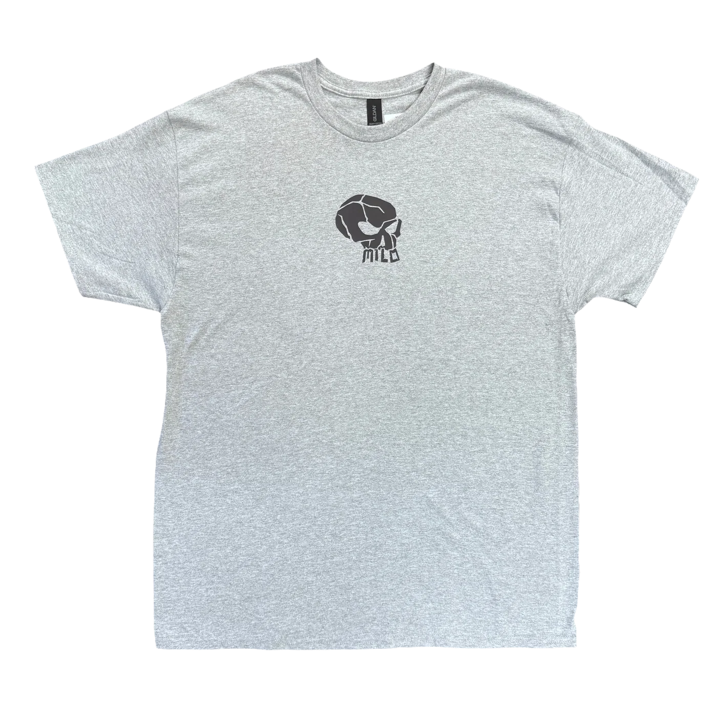 Milosport Mini Skull Tee Shirt in Grey