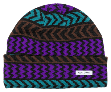 Autumn Chevron Beanie In Purple