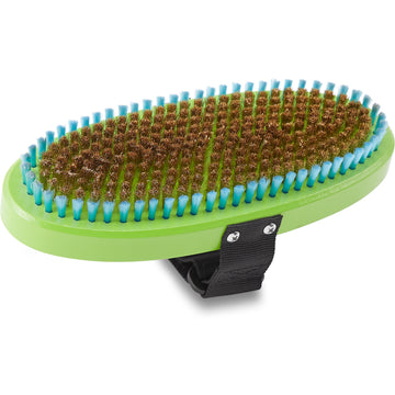 Dakine Premium Oval Brass Brush in Green 2023