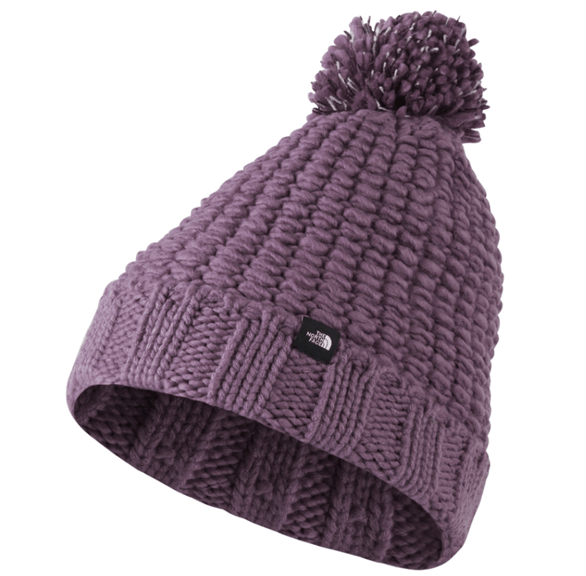 2022 The North Face Cozy Chunky Beanie in Pikes Purple