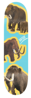 Alltimers Species Will Skateboard Deck in 8.3'' - M I L O S P O R T