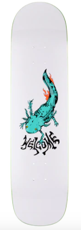 Welcome Axlotl Skateboard on Bunyip 8.0'' in White and Teal - M I L O S P O R T