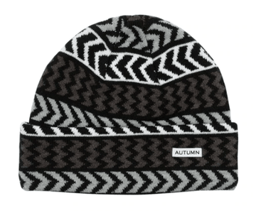 Autumn Chevron Beanie in Grey